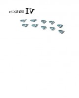 http://www.gregoryelbaz.com/files/gimgs/th-55_premaquette_SeigneurDesCerceaux-16A.jpg
